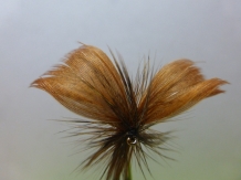 Size 10 Mayfly Brown